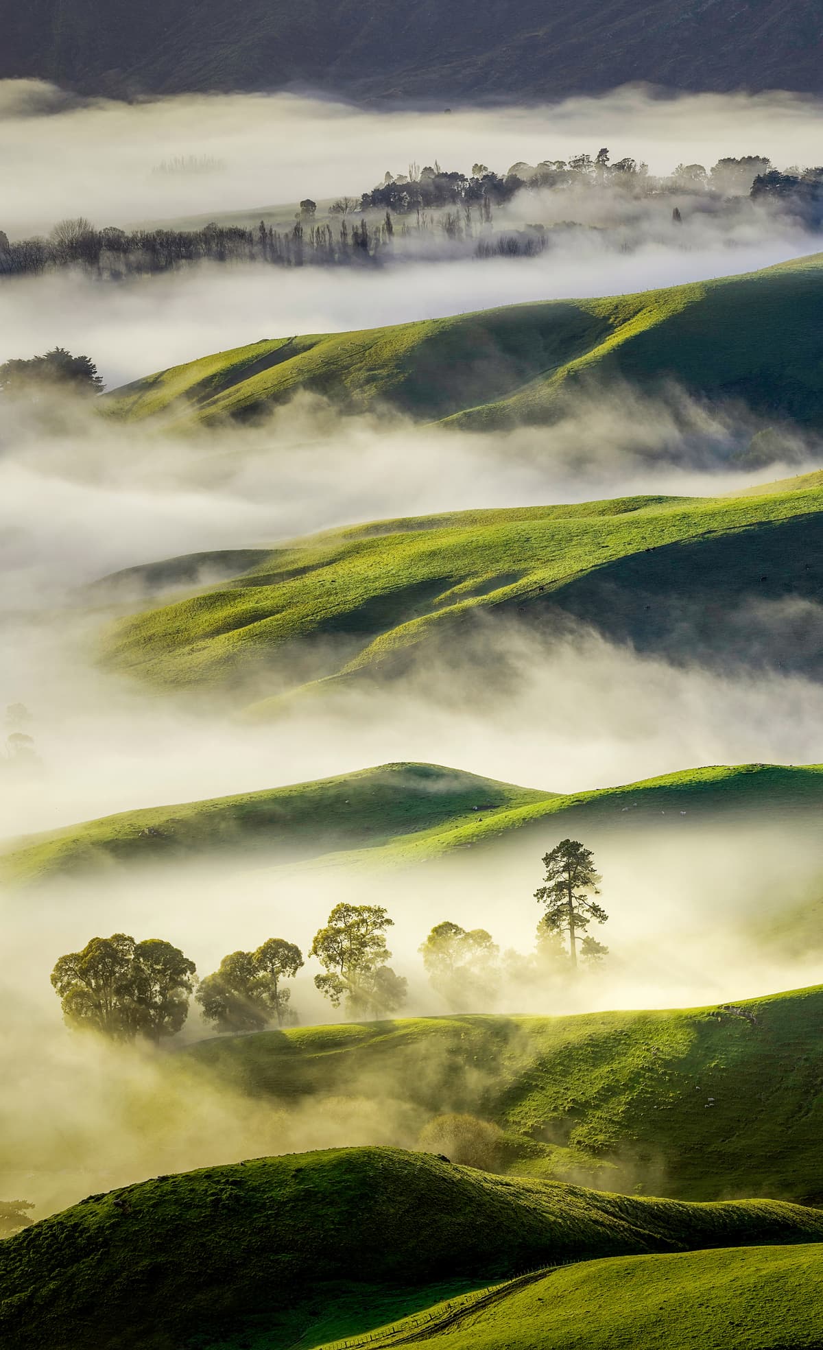 Kia Ora – Intensive New Zealand experiences