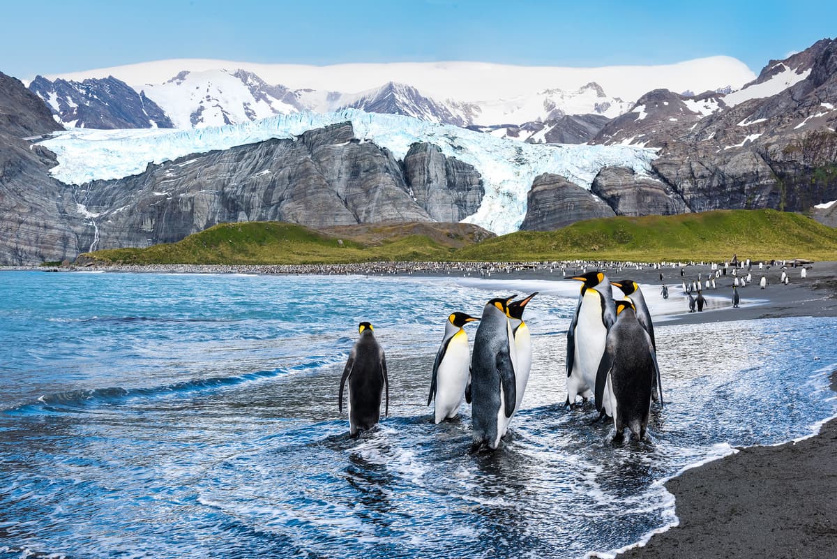Expedition Antarctica from Cape to Cape (Christmas cruise): The ultimate adventure between two continents