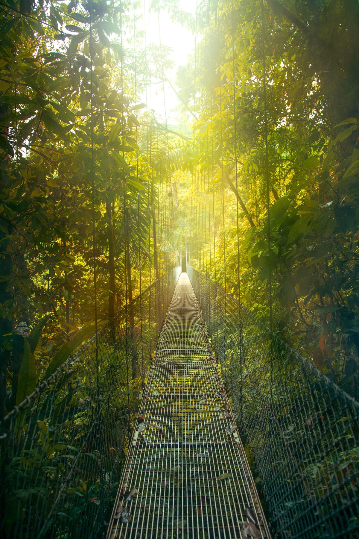 Pura vida – Costa Rica up close