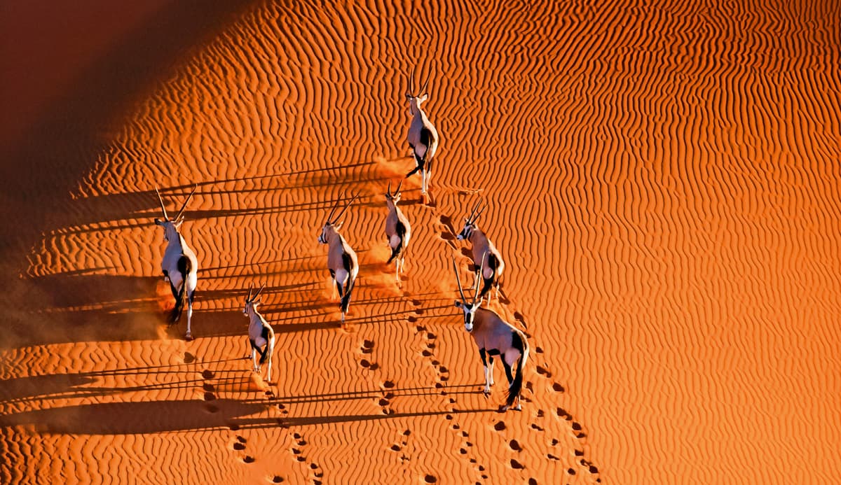 Desert wonders and Atlantic beauty