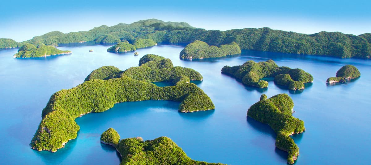 The beauty of the South Seas