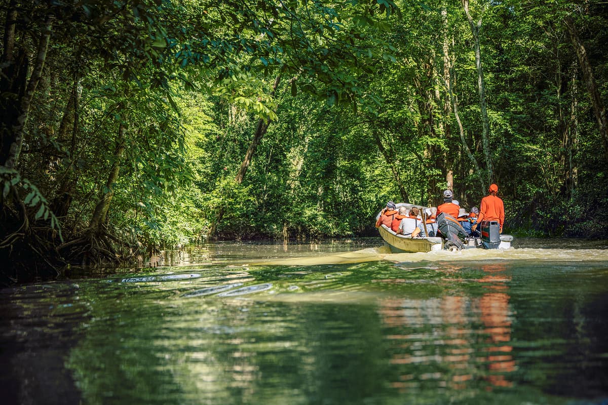 Expedition South America with Panama Canal: up close with lush nature