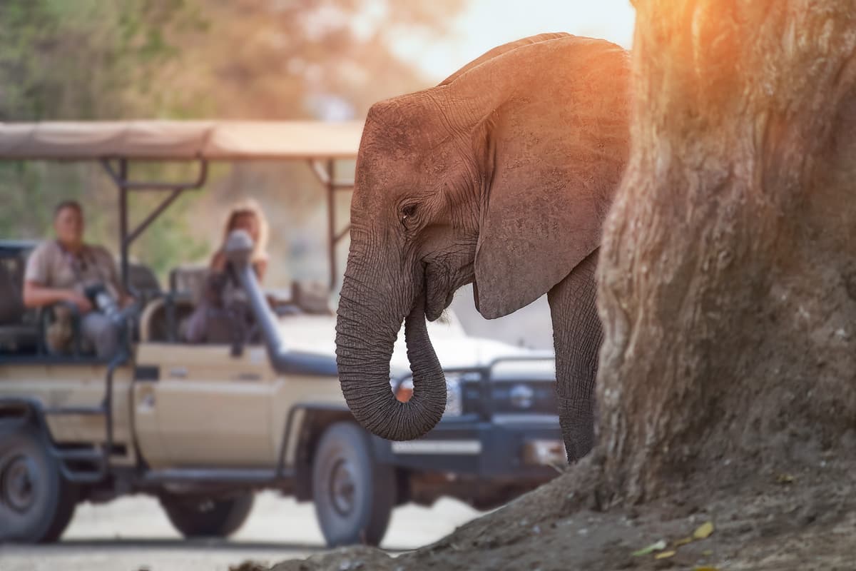 South Africa and Indian Ocean: from epic wilderness to idyllic islands