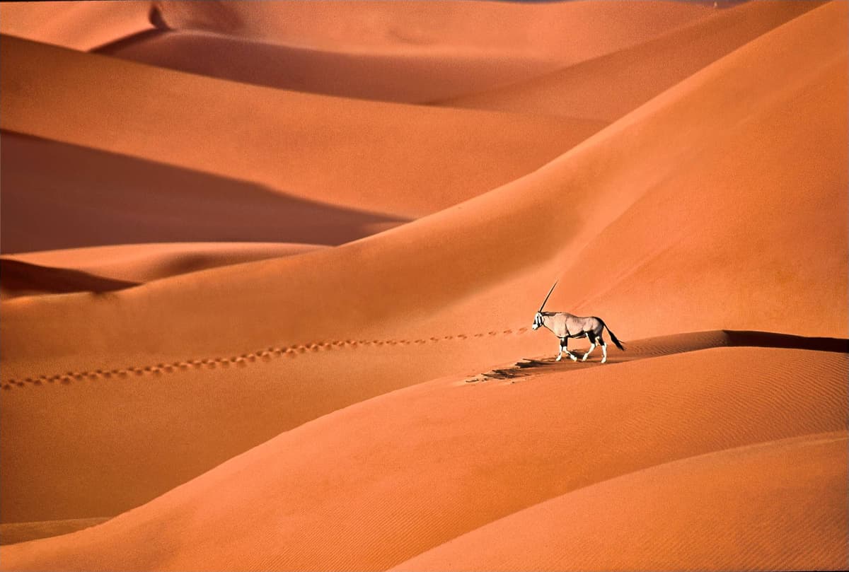 From endless dunes to Atlantic dreams