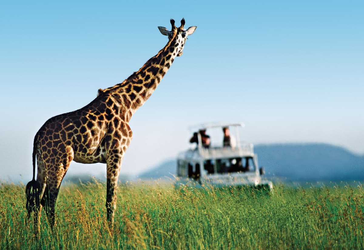 The fascination of Africa’s south