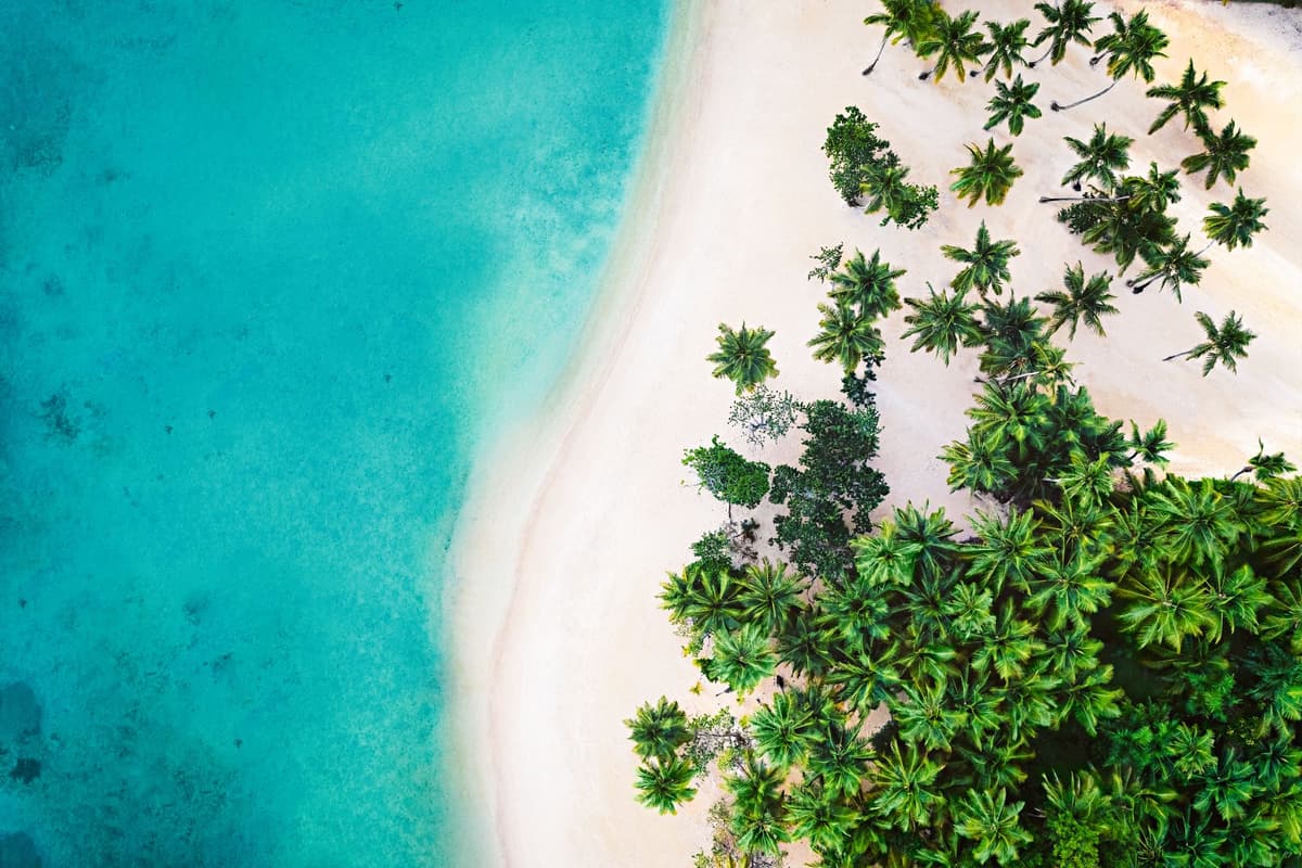 The great diversity of the Caribbean Sea