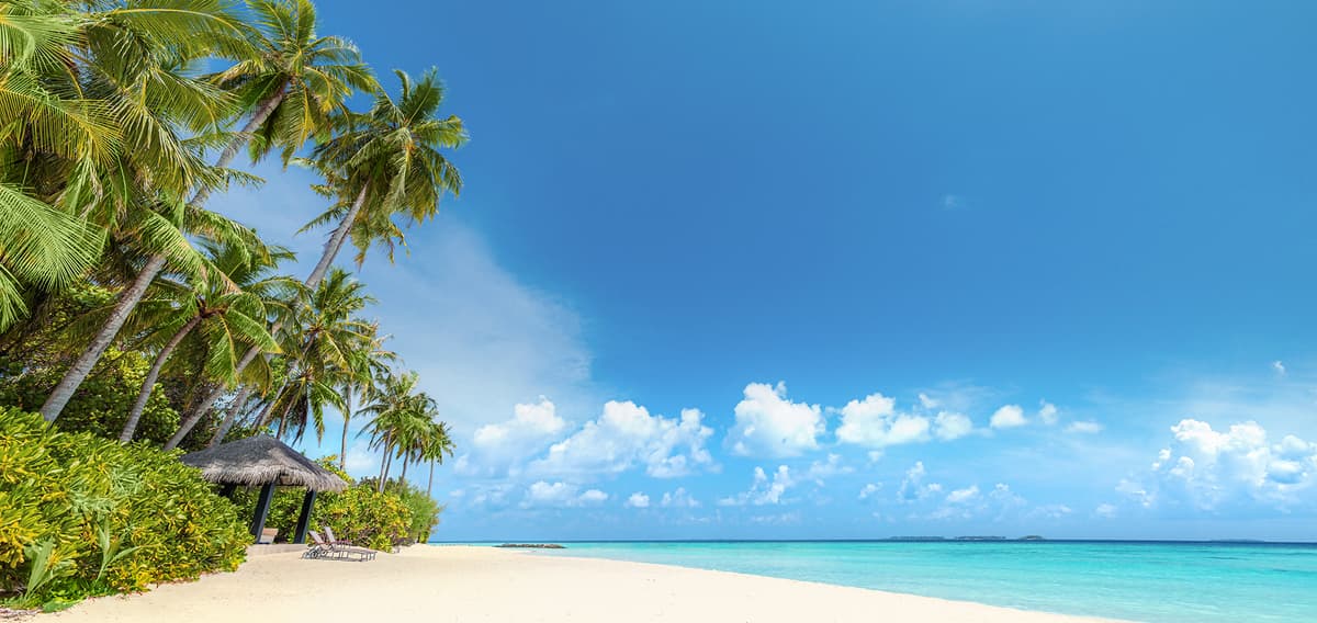 New York, the Caribbean and Panama: When the metropolis and the tropics merge