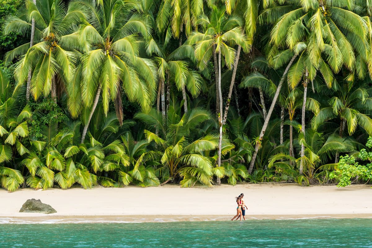 Festive holidays with the scent of tropical nature