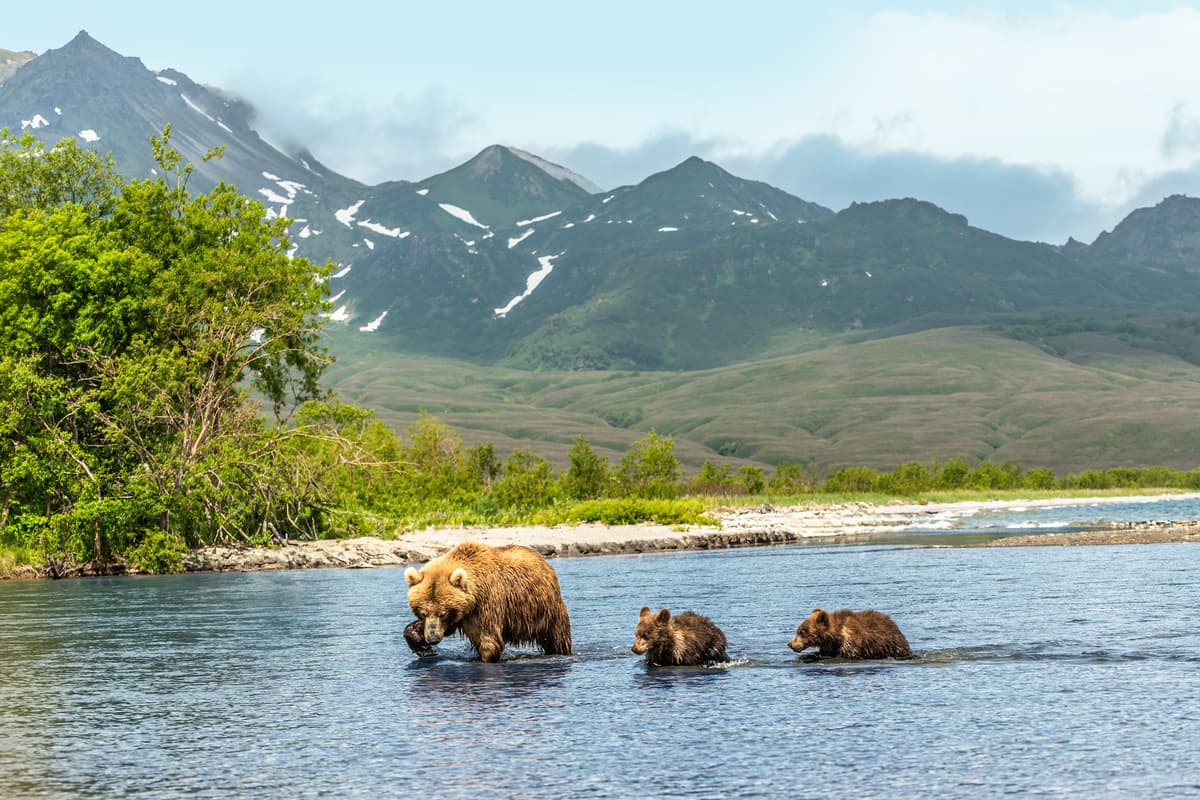 Alaska (Inside Passage): wild, wide world of wonders