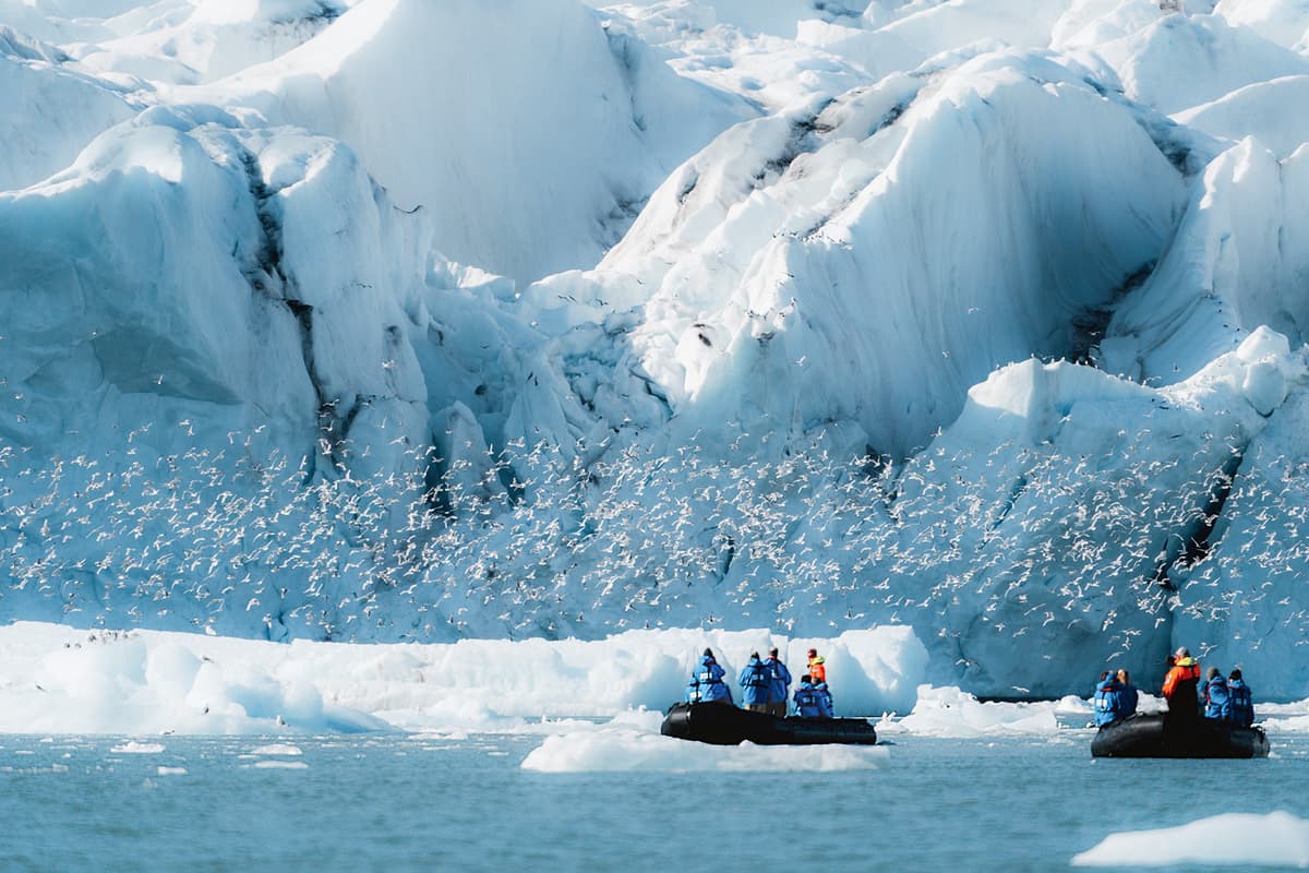 Expedition Svalbard circumnavigation and north-east Greenland: meeting of Arctic icons