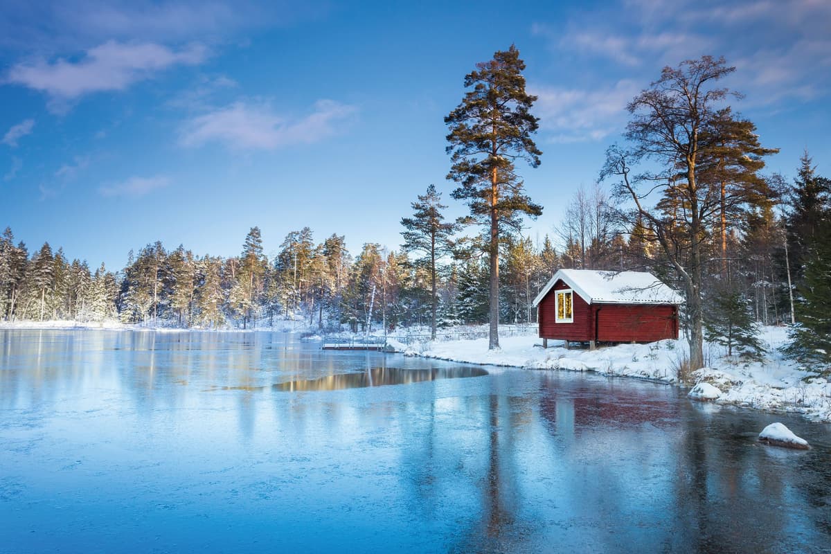Expedition Indian summer in Lapland: ruska, Scandinavia's natural fireworks