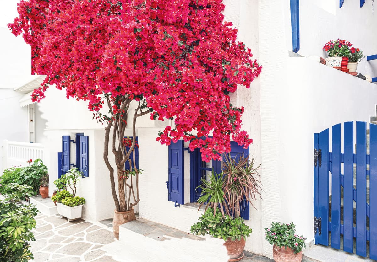 Deluxe Mediterranean island-hopping