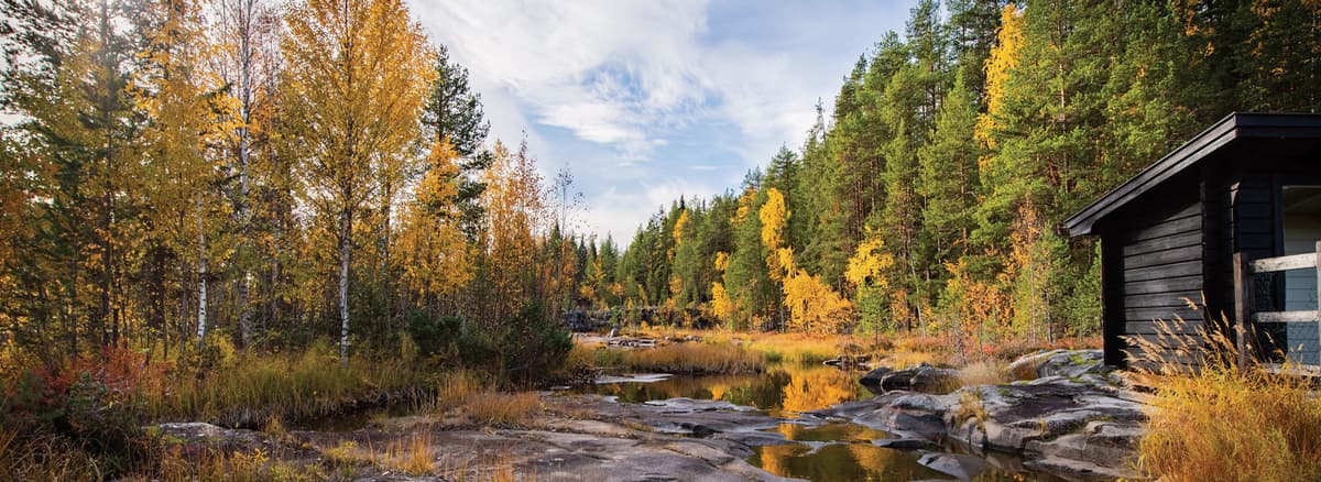 Expedition Indian summer in Lapland: ruska, Scandinavia's natural fireworks