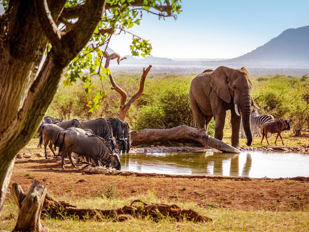 South Africa and Indian Ocean: from epic wilderness to idyllic islands