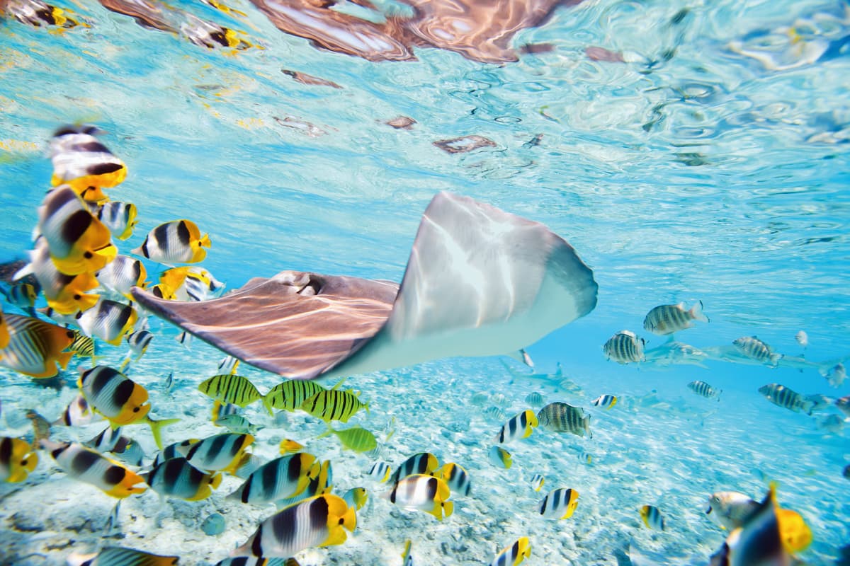Expedition South Seas: dream destinations in pastel shades