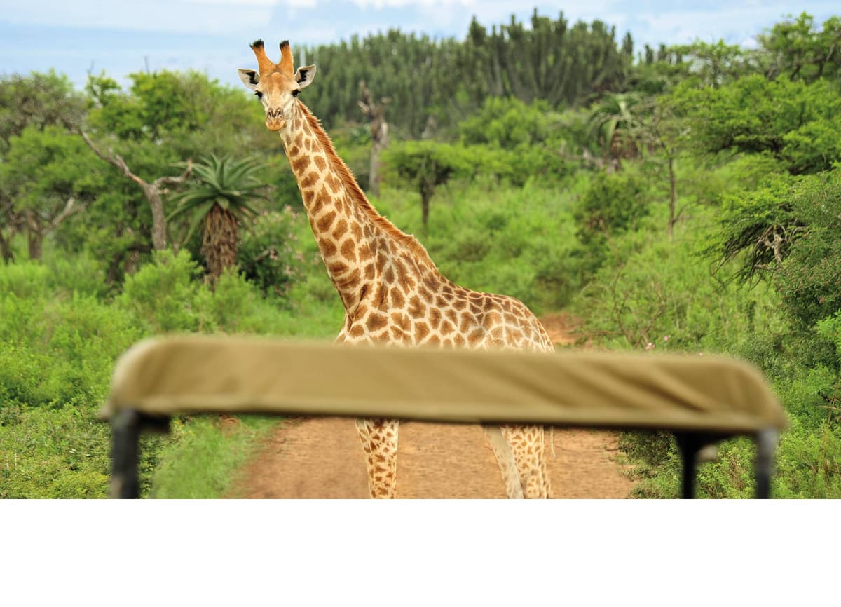 Adventure South Africa