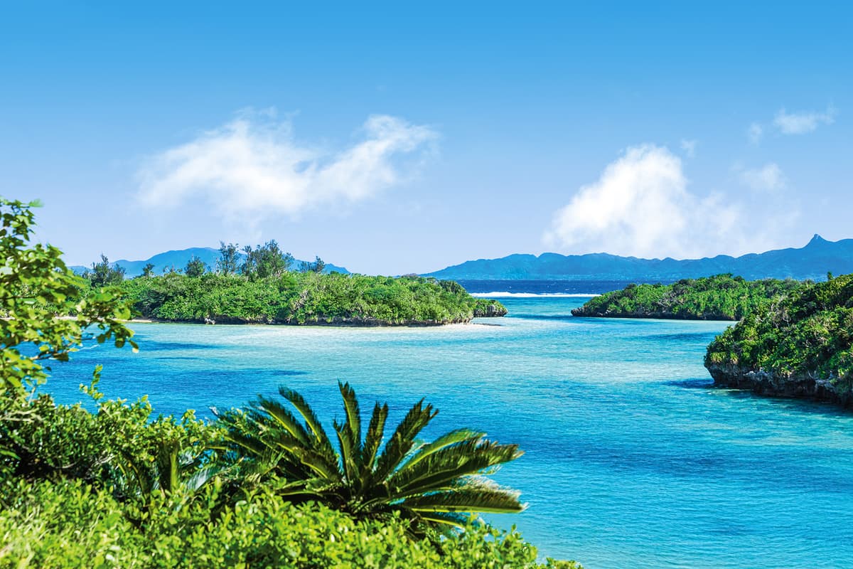 Expedition “South Seas of Japan”: the yin and yang of paradise islands