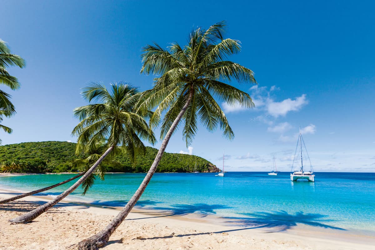A heavenly holiday under palm trees