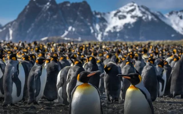 Explore the Edge of the Far South