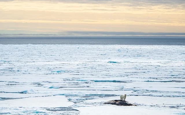 Spitsbergen Highlights: A Exploration of the High Arctic & the Polar Bear Kingdom