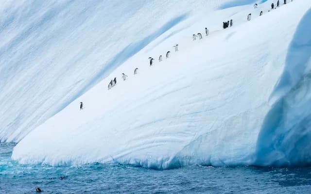 Antarctic Peninsula Explorer: Step onto the White Continent