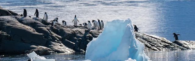 Explore the  Antarctica Peninsula