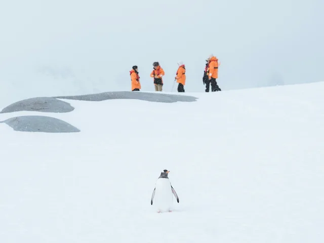 Antarctica First Light: Into the kingdom of king penguins and the Seventh Continent