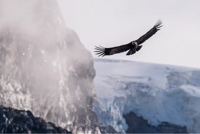 Patagonia & Chilean Fjords Expedition