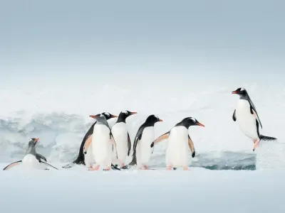 Classic Antarctica Air-Cruise