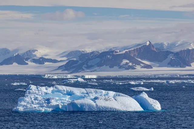 Southern Antarctic Realms: Antarctic Circle & Weddell Sea