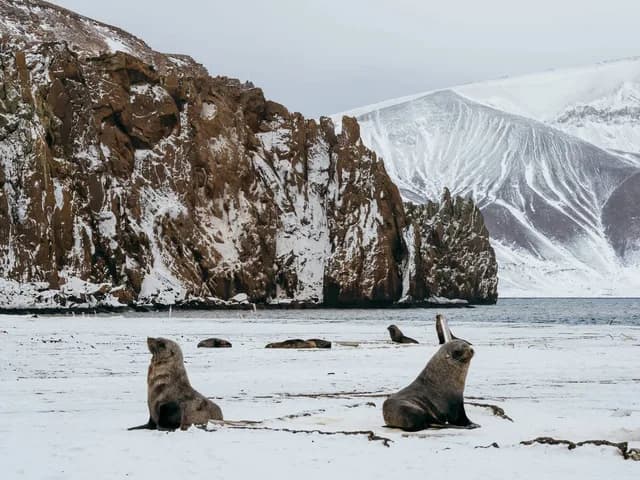 Antarctic Explorer