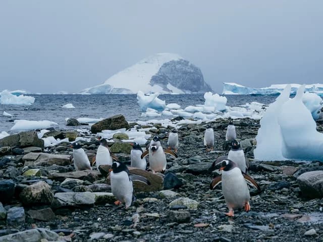 Across the Antarctic Circle