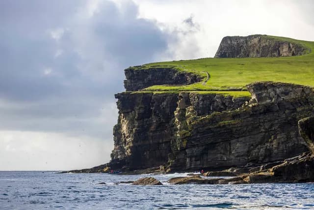 Wild Scotland