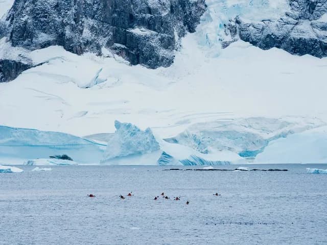 South Georgia, Falklands & Antarctic Odyssey