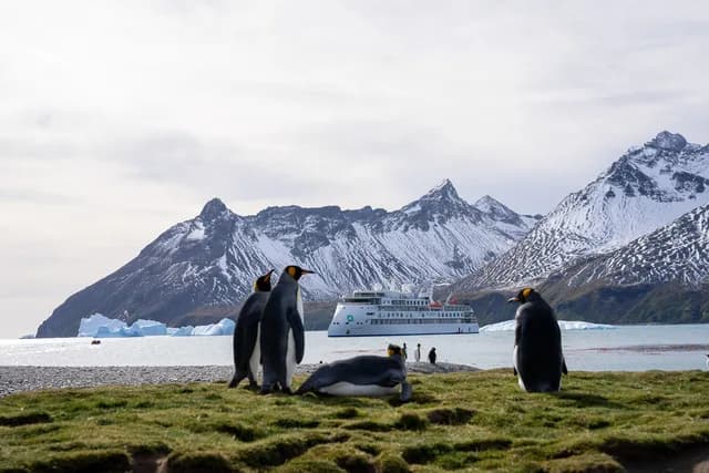 Antarctica Complete