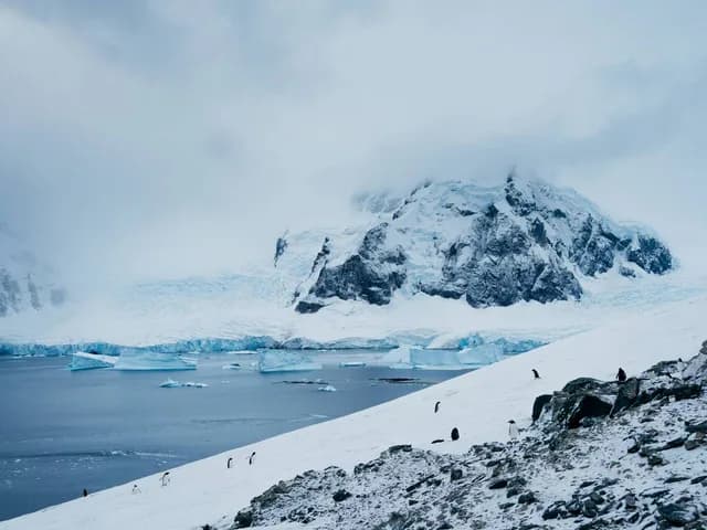 Wild Antarctica featuring the Weddell Sea