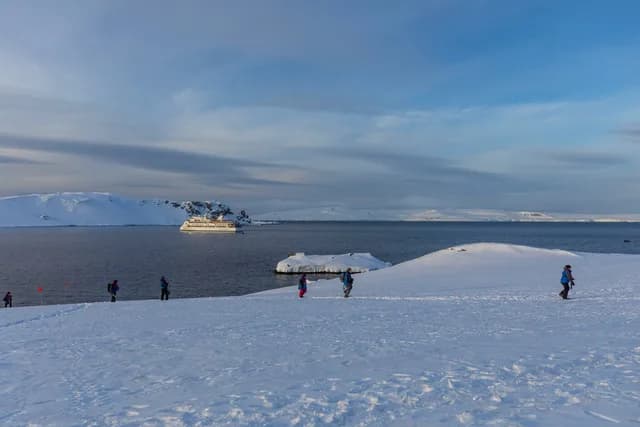 Wild Antarctica featuring the Weddell Sea: In Partnership with New Scientist Discovery Tours