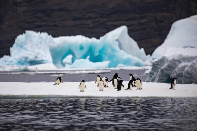 Antarctic Explorer