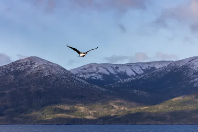 Glaciers & Fjords of Southern Patagonia