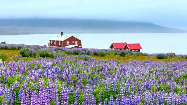 Iceland Unveiled