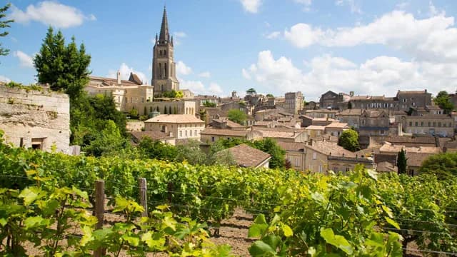 Vineyards To Castles