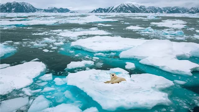 Glaciers & Fjords