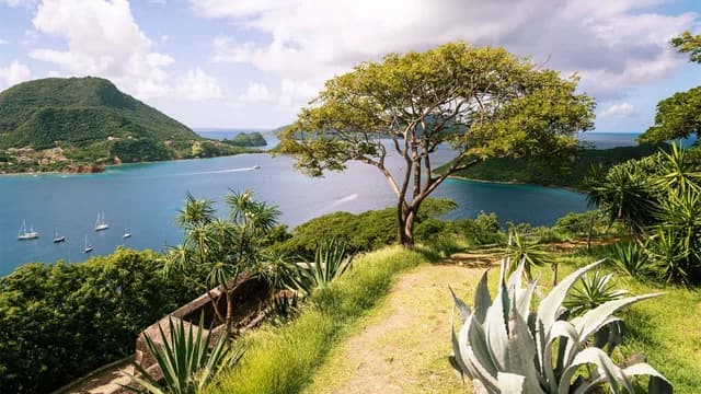 Sunlit Antillean Sojourn