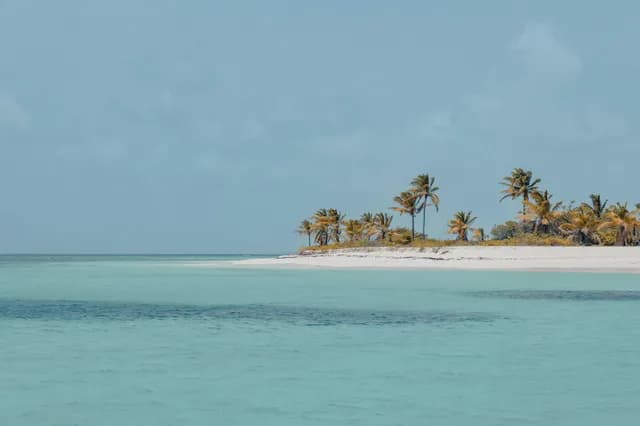 A Journey of Sunny Shores & Caribbean Island Bliss