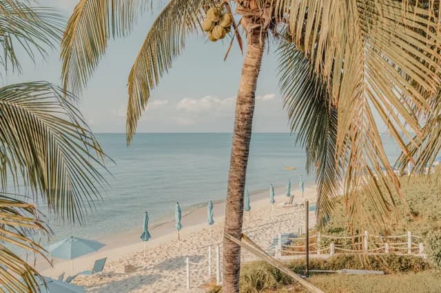 An Extended Journey through Caribbean Treasures & Peaceful Nature
