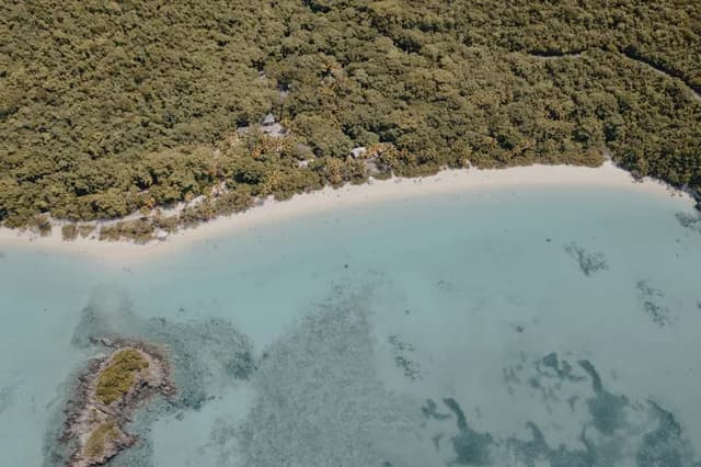 A Journey of Tranquil Tropical Beauty & Rainforest Adventures