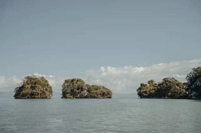 A Journey from From Hidden Shores to Timeless Elegance