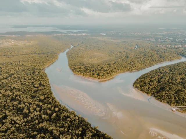 A Journey of Amazon Exploration & Cultural Discovery