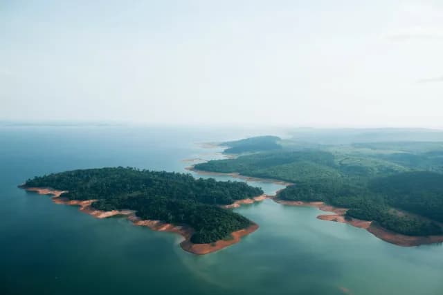 South America & Amazon