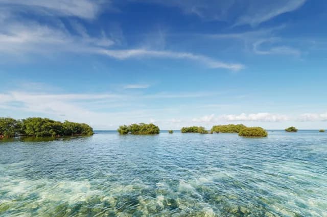 A Journey of Spectacular Festivities & Caribbean Wonders